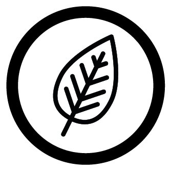 ricco-in-proteine-vegetali
